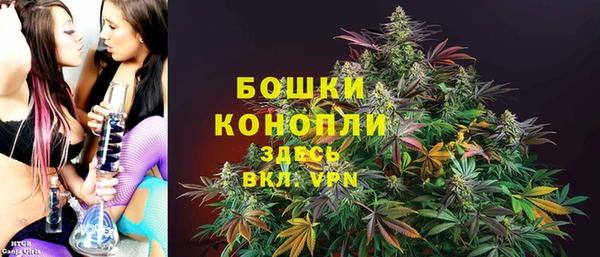 PSILOCYBIN Кинешма