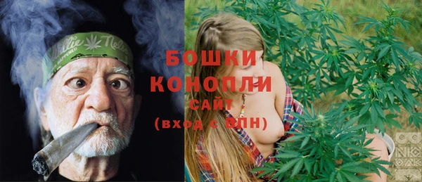 гидра Киренск