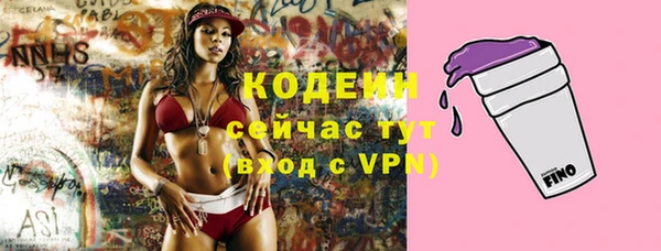 гидра Киренск