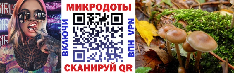 Купить закладки  Кизилюрт  Галлюциногенные грибы GOLDEN TEACHER 